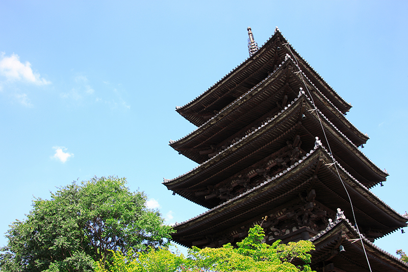 求人応募・求人に関する問い合わせ